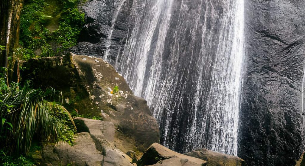 El Yunque National Rainforest, Half Day Tour