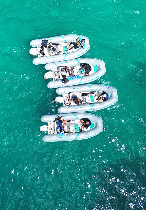 mini boats