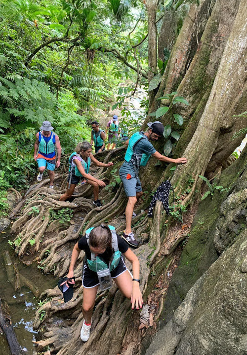 El Yunque
