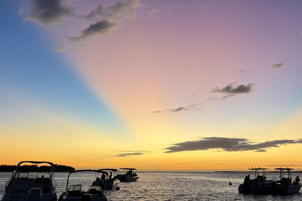 Lajas Bio Bay Boat Experience